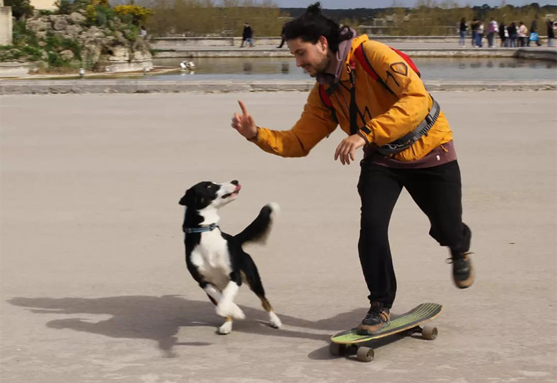 Éducateur et comportementaliste canin à La Rochelle