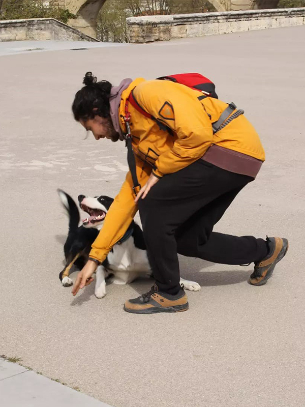 Éducateur et comportementaliste canin à La Rochelle